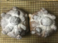 IMG_5360.jpeg