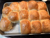 IMG_0300.jpg IMG_0300.jpg