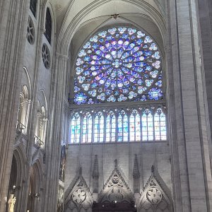 IMG_7107.jpeg