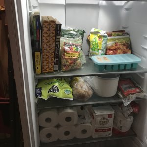 IMG_5504.jpeg