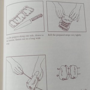 spiedini drawing.jpg