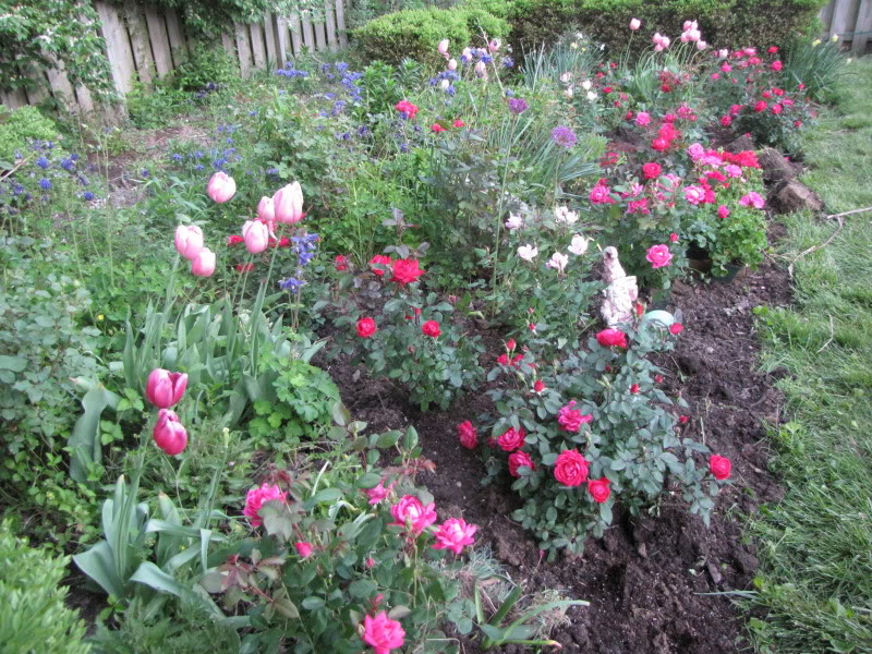 RoseGardenApril1010018.jpg